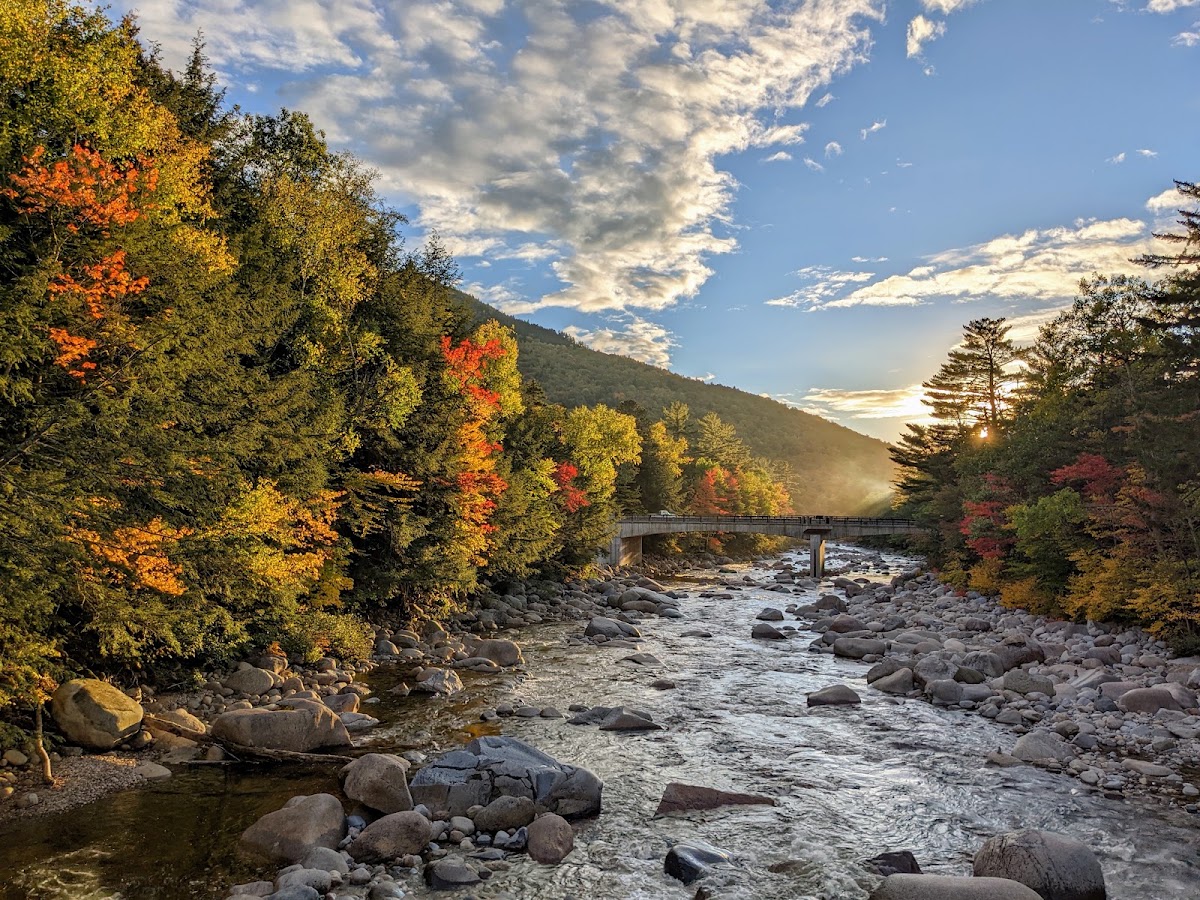 Lincoln Brook