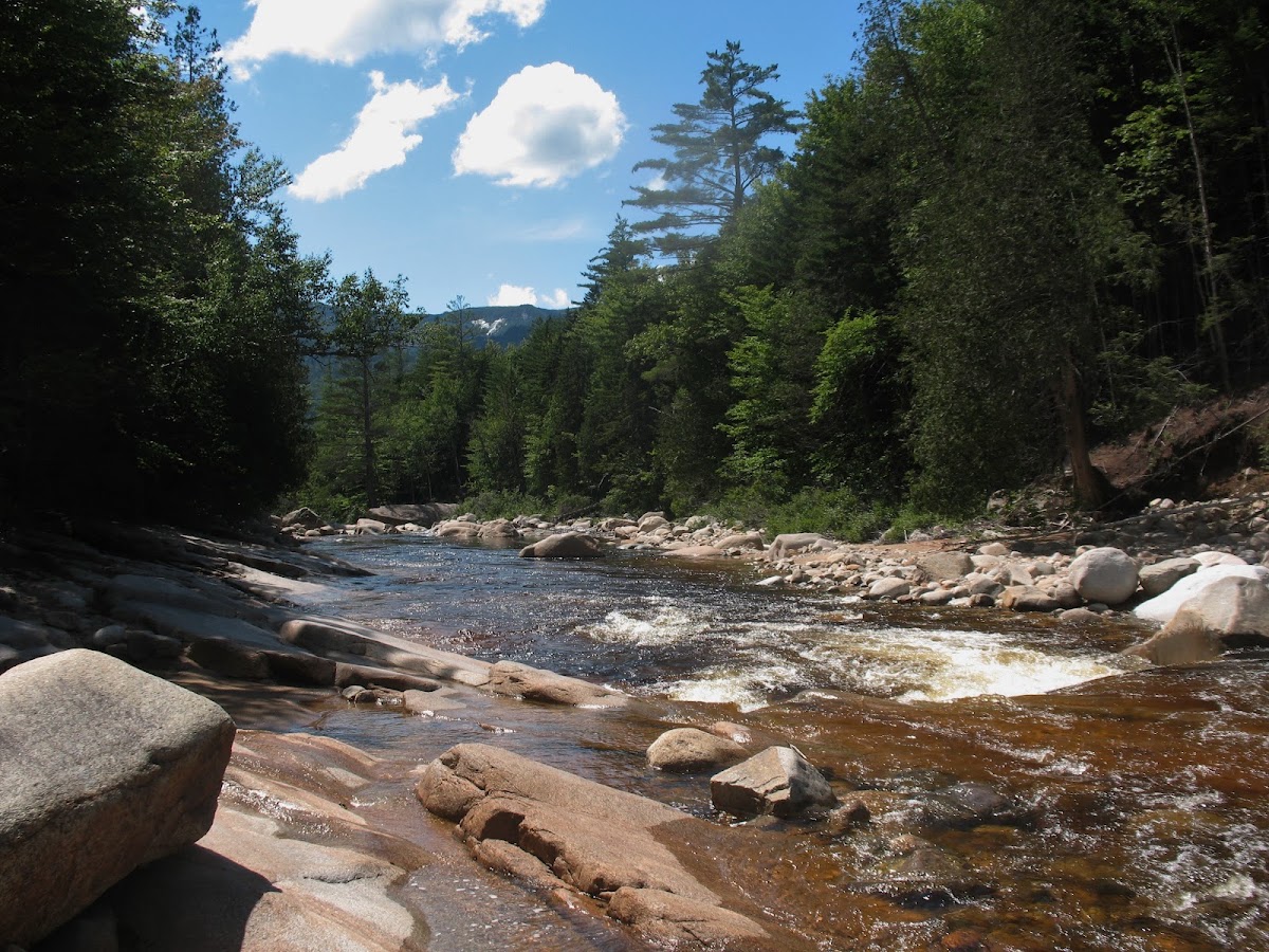 Pemigewasset River