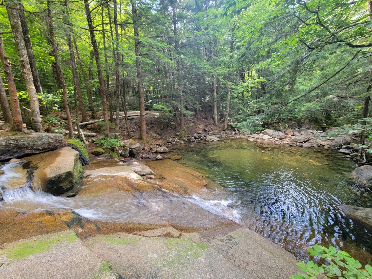 Smarts Brook Trail