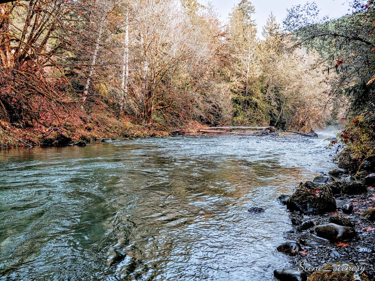 Dungeness River