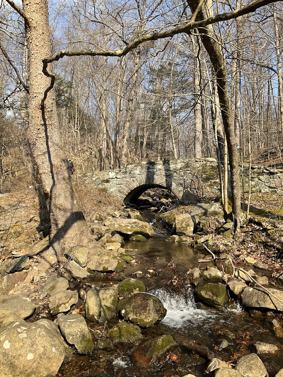 South Branch Raritan River