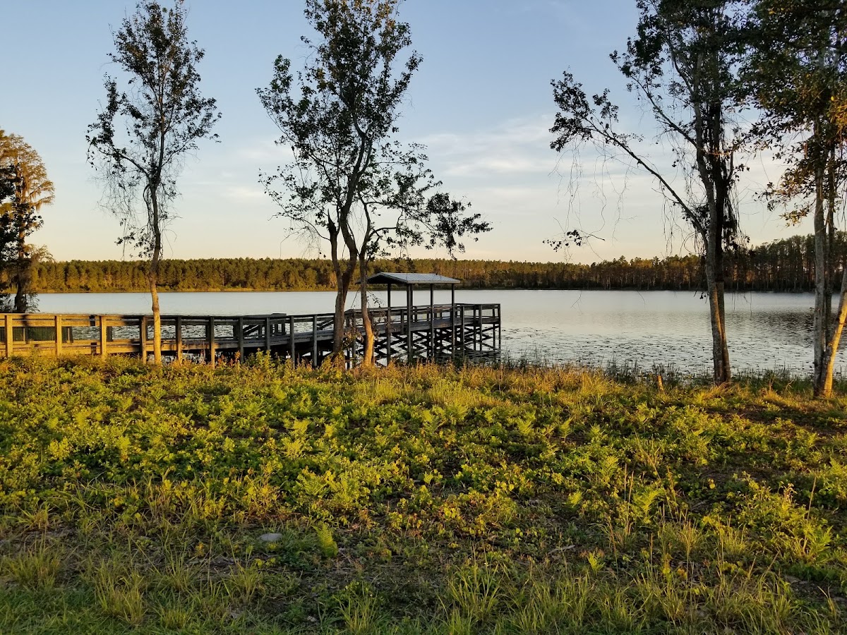 Lake Louisa