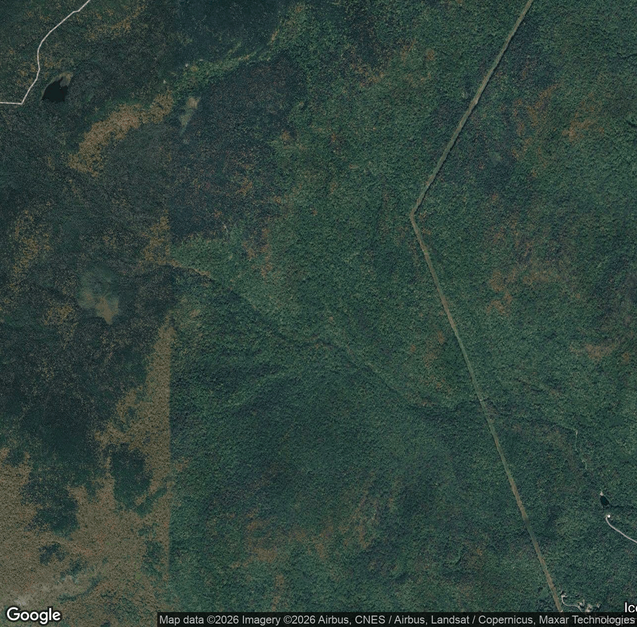 Gordon Pond Brook