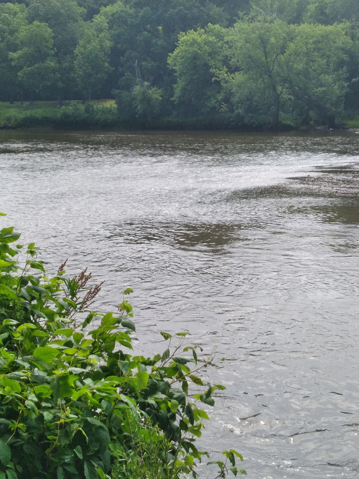 Kishwaukee River