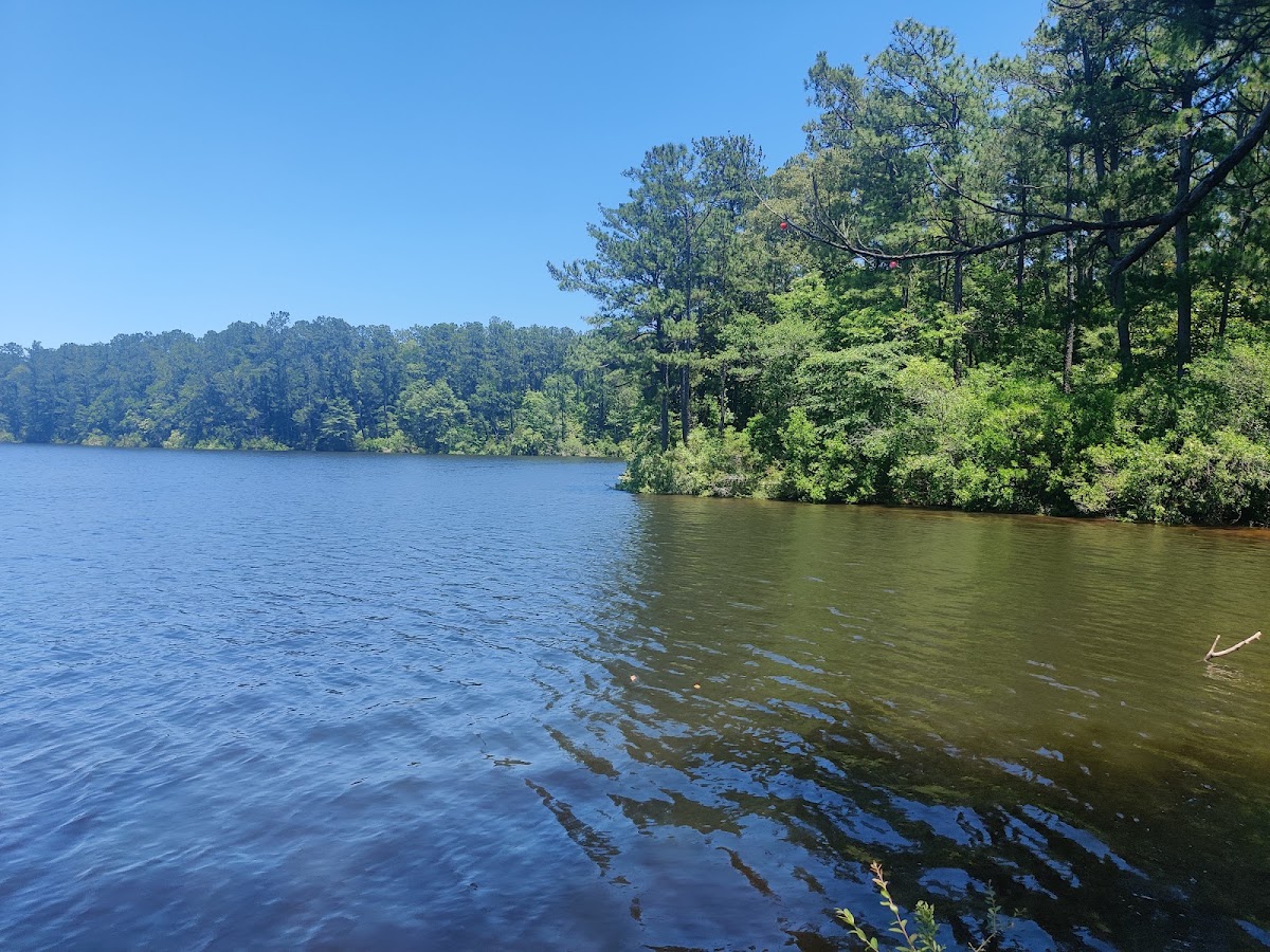 Flint Creek Reservoir