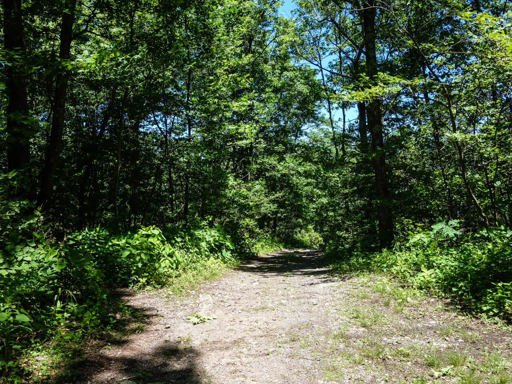 Totts Gap Mine