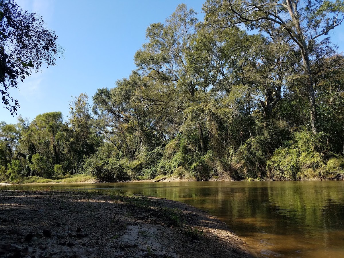 Tangipahoa River