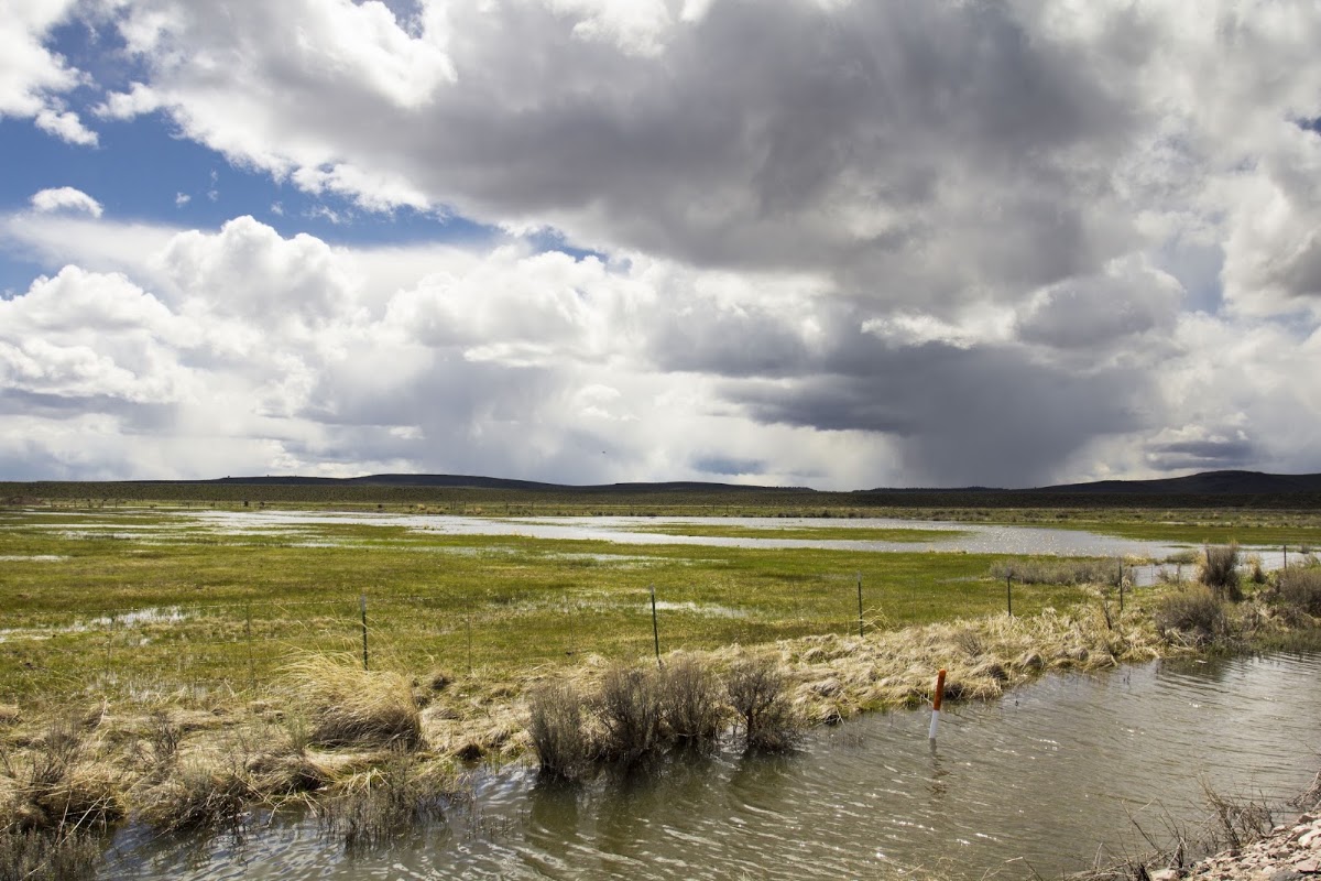 Malheur Lake