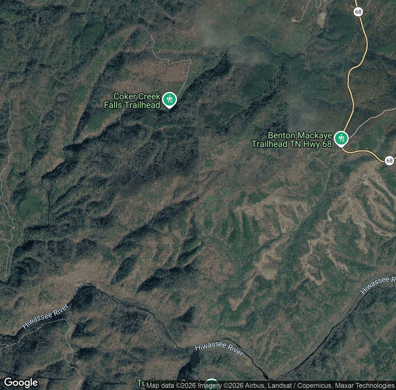 Unicoi Mountain Trail