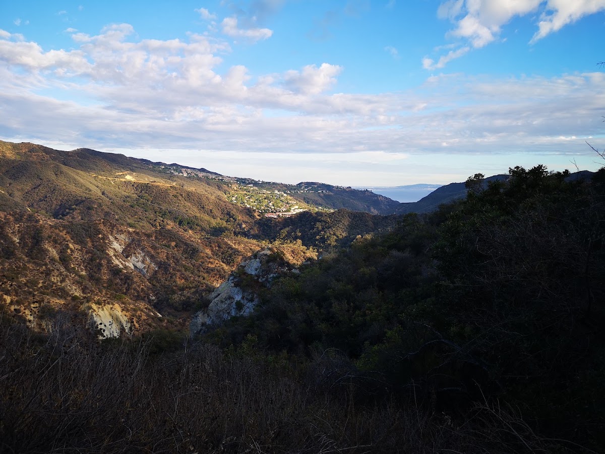 Santa Ynez Creek