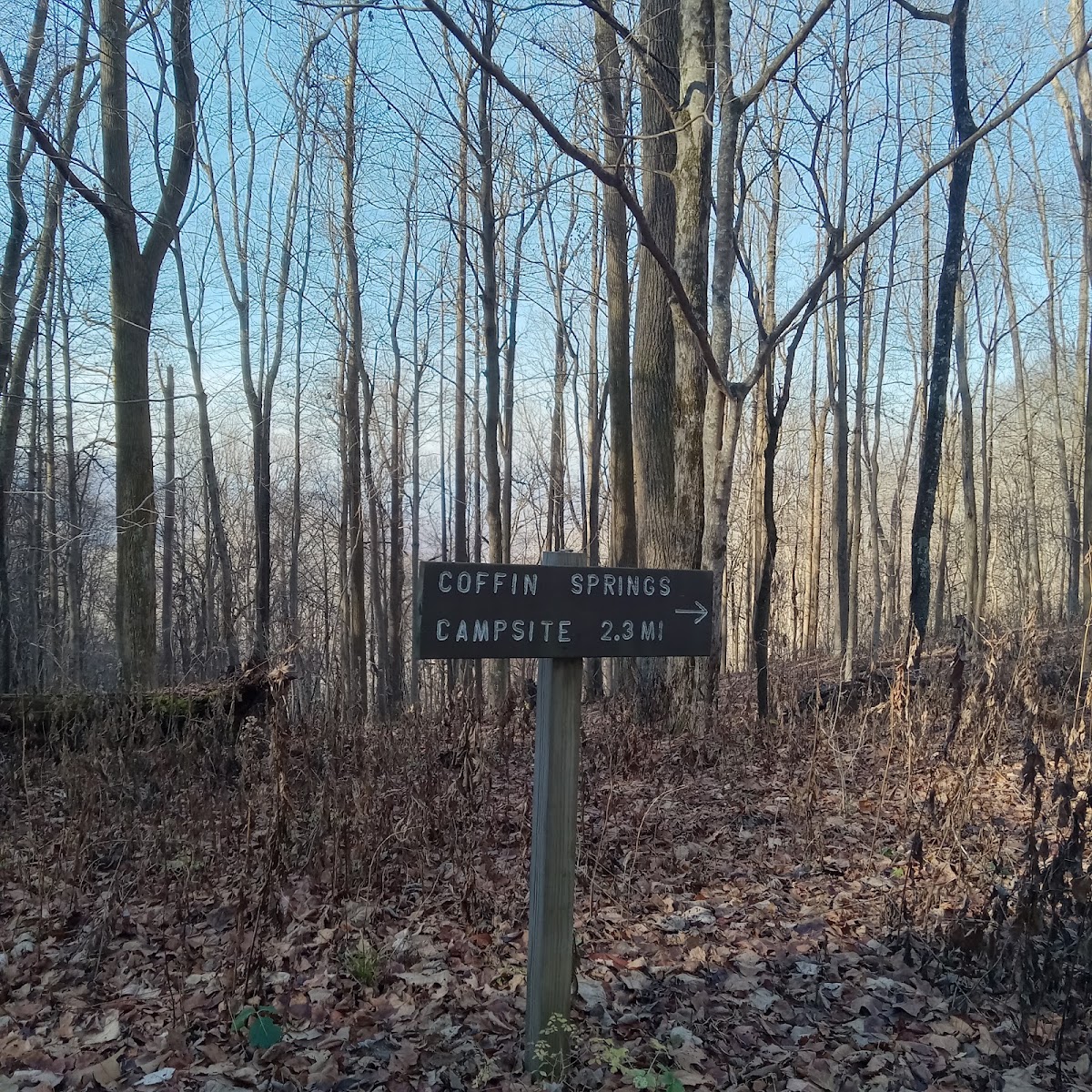 North Bird Mountain Trail