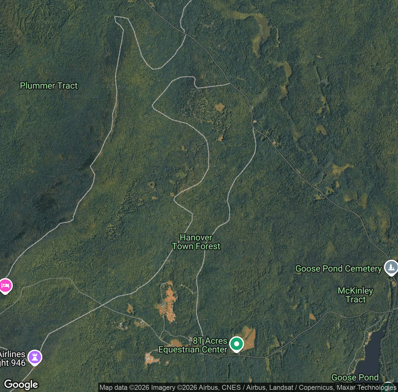 Hanover Town Forest