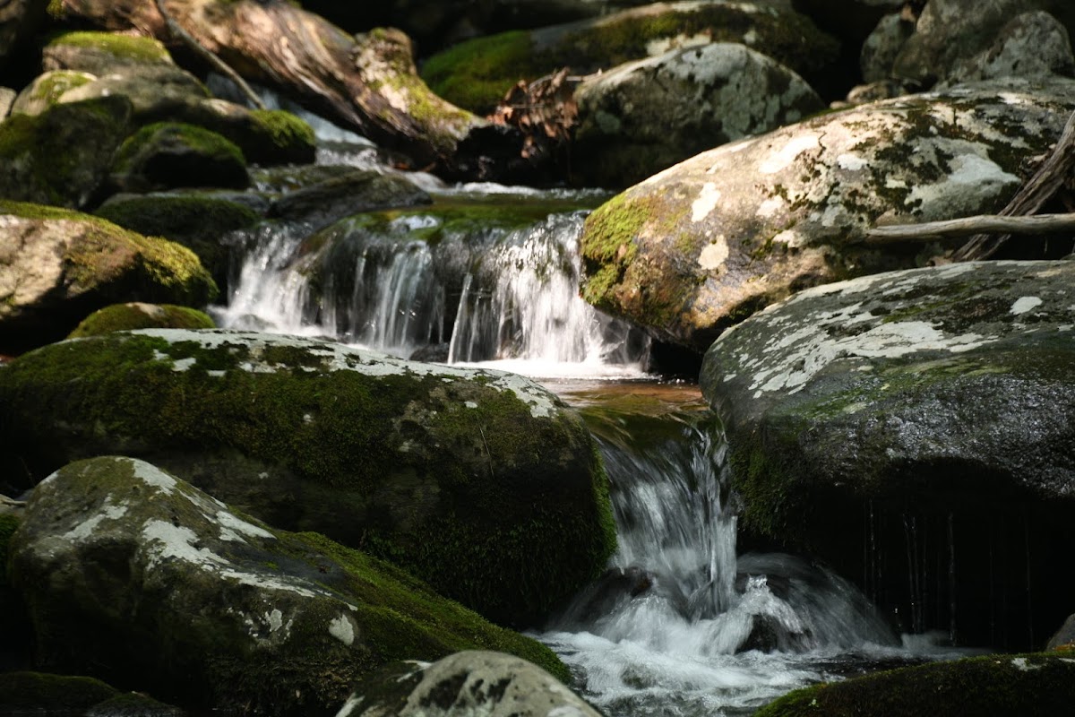 Buck Hollow