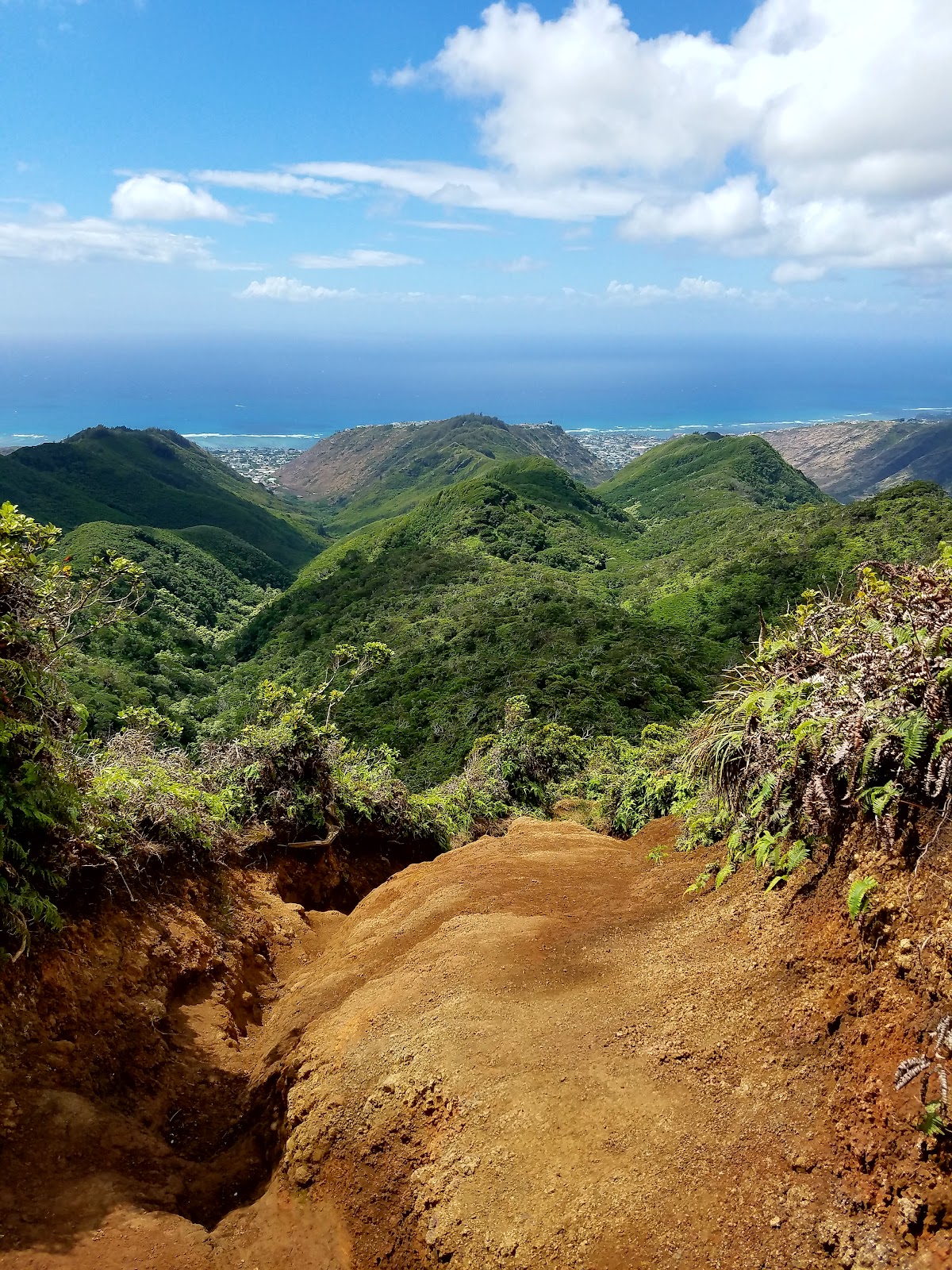 Hawai'iloa Ridge Trail