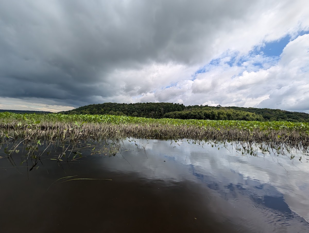 St. Croix Islands Wildlife Area