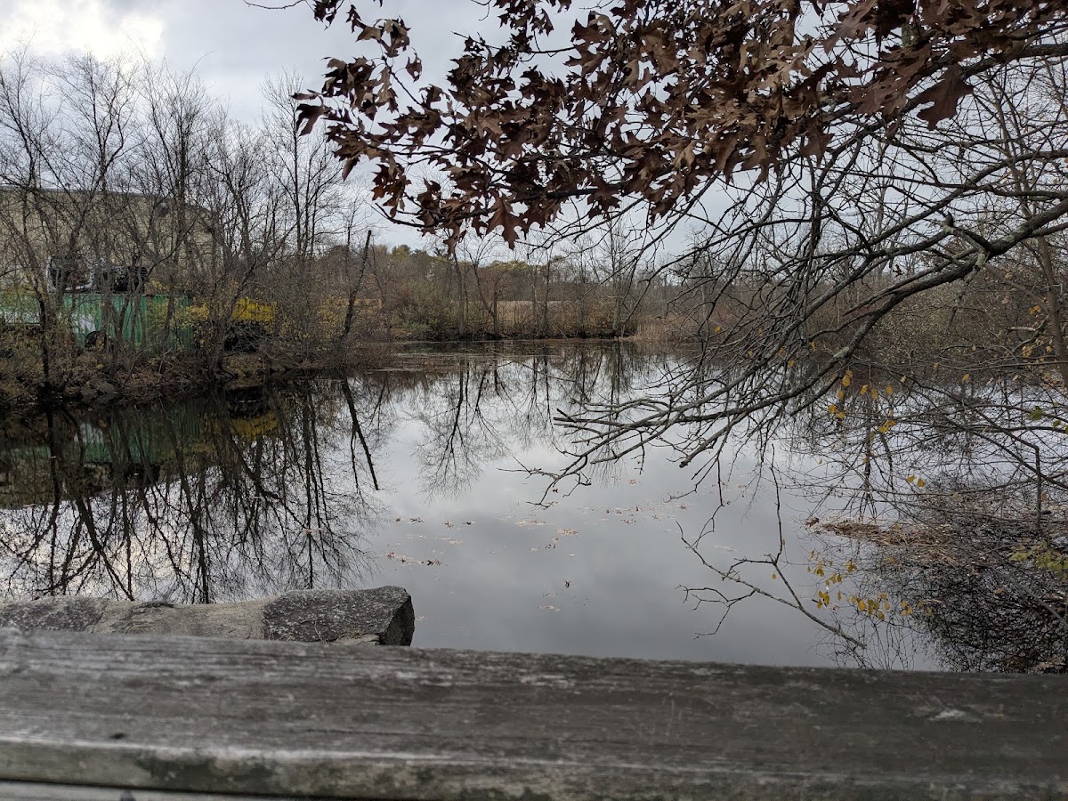 Spicket River