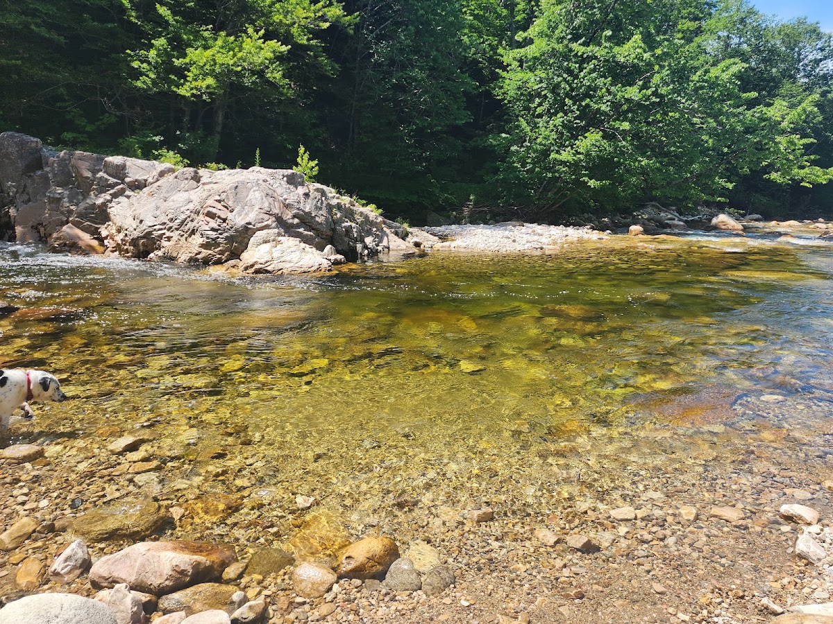 Roaring Brook