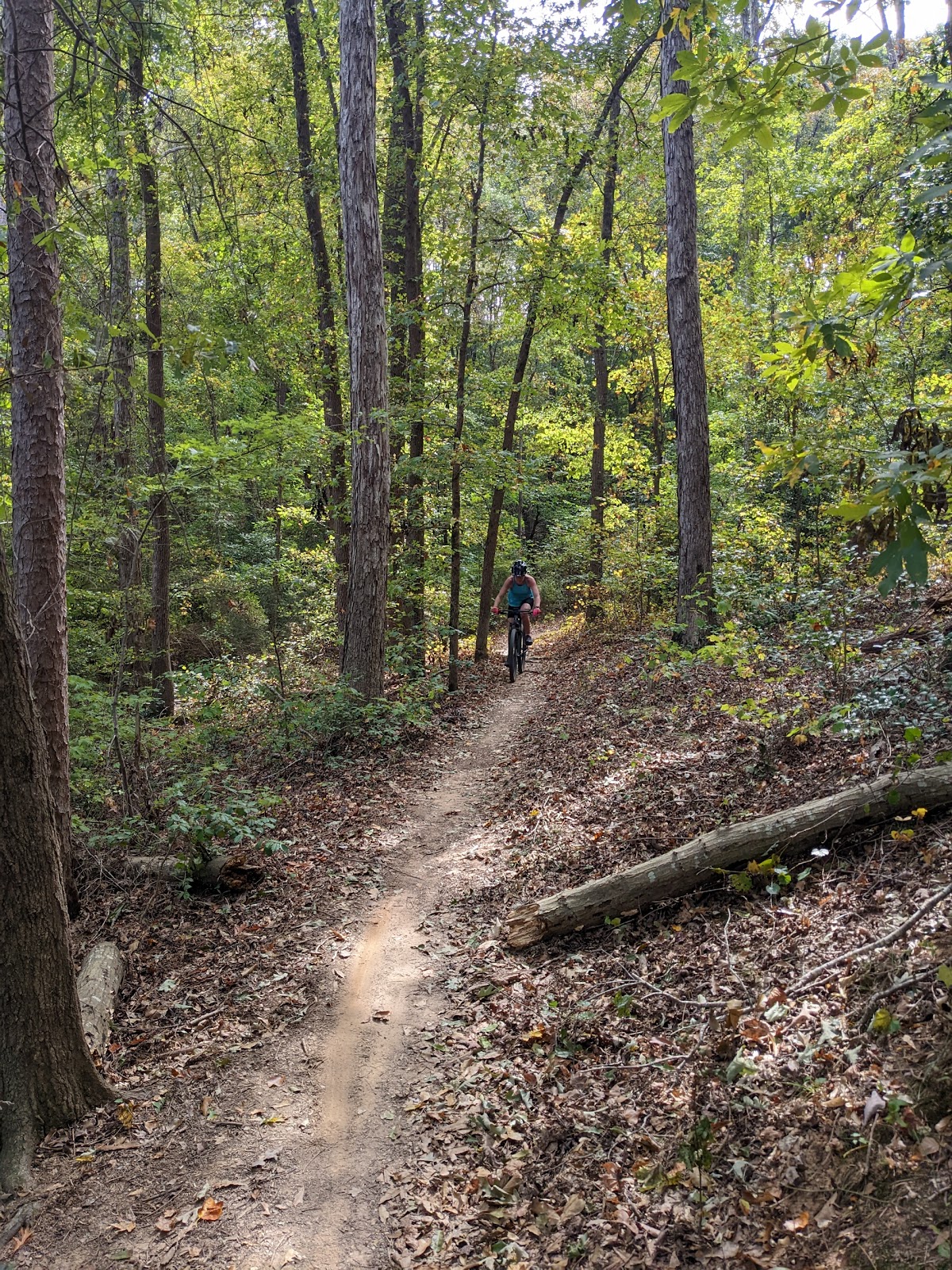 Payne's Creek MTB Trail - north loop