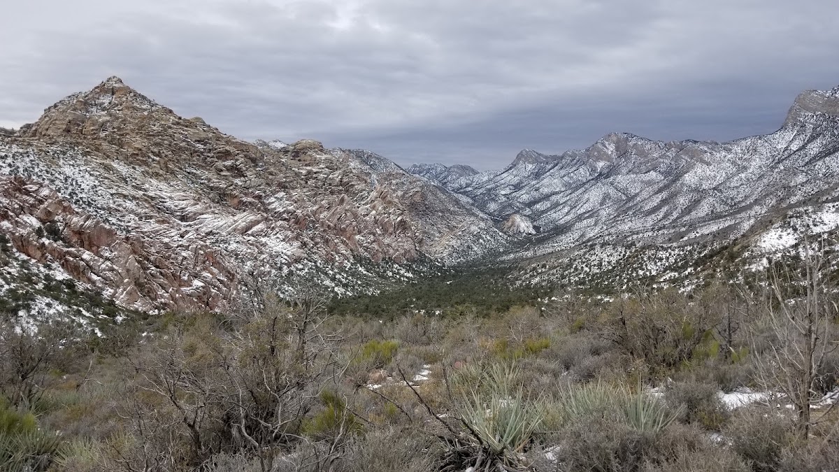 White Rock Loop