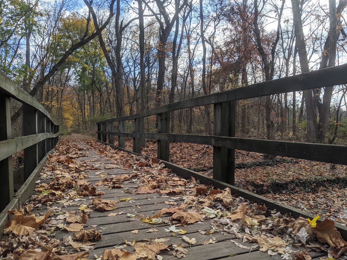 Memorial Park