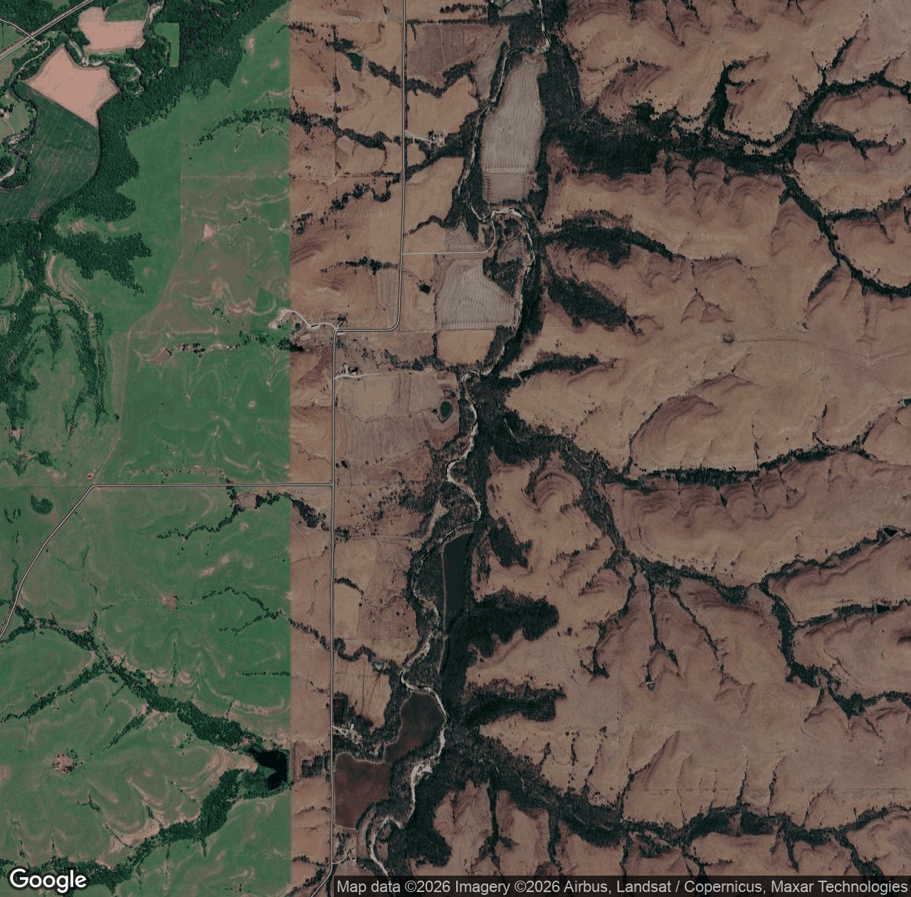 Illinois Creek