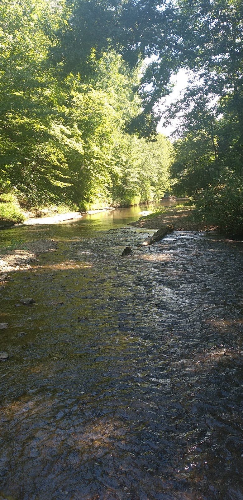 Richland Creek