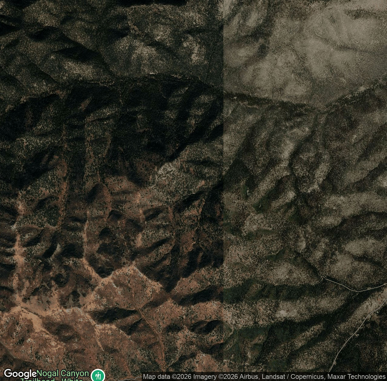 Tortolita Canyon Trail