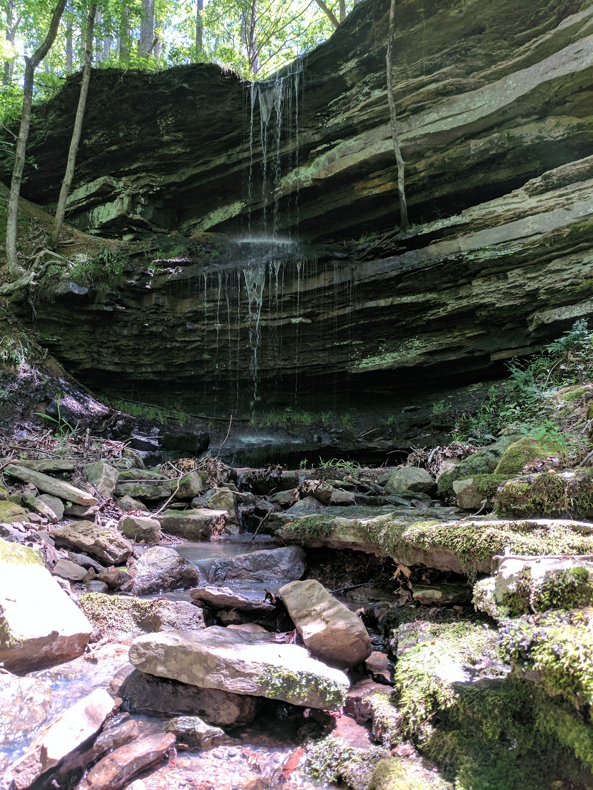 Ozark Highlands Trail