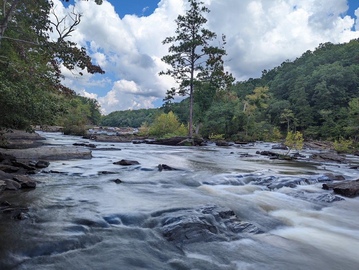 Lower Sweetwater Woods