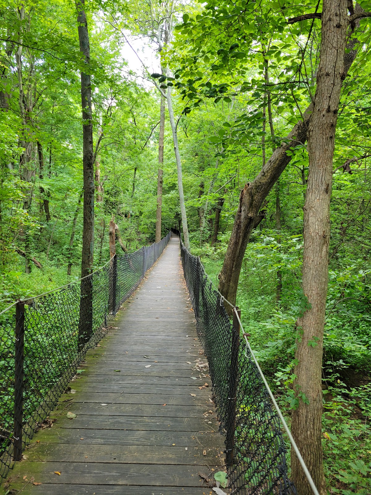 Panther Creek