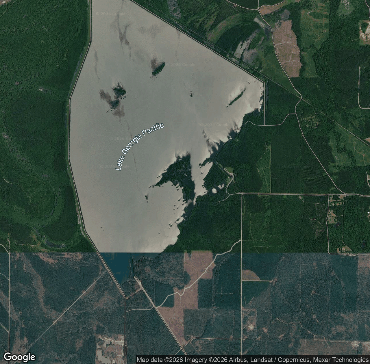 Lake Georgia Pacific