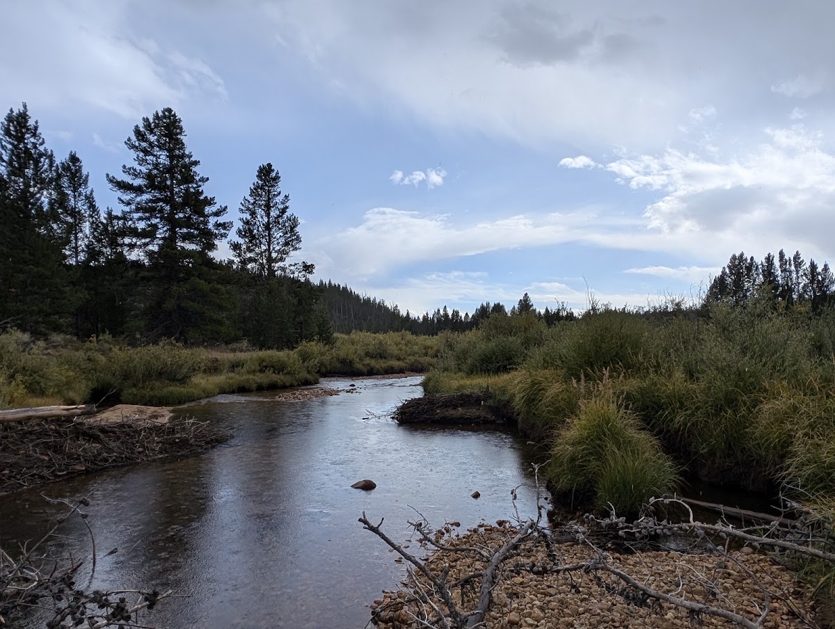 Little Sandy Trail
