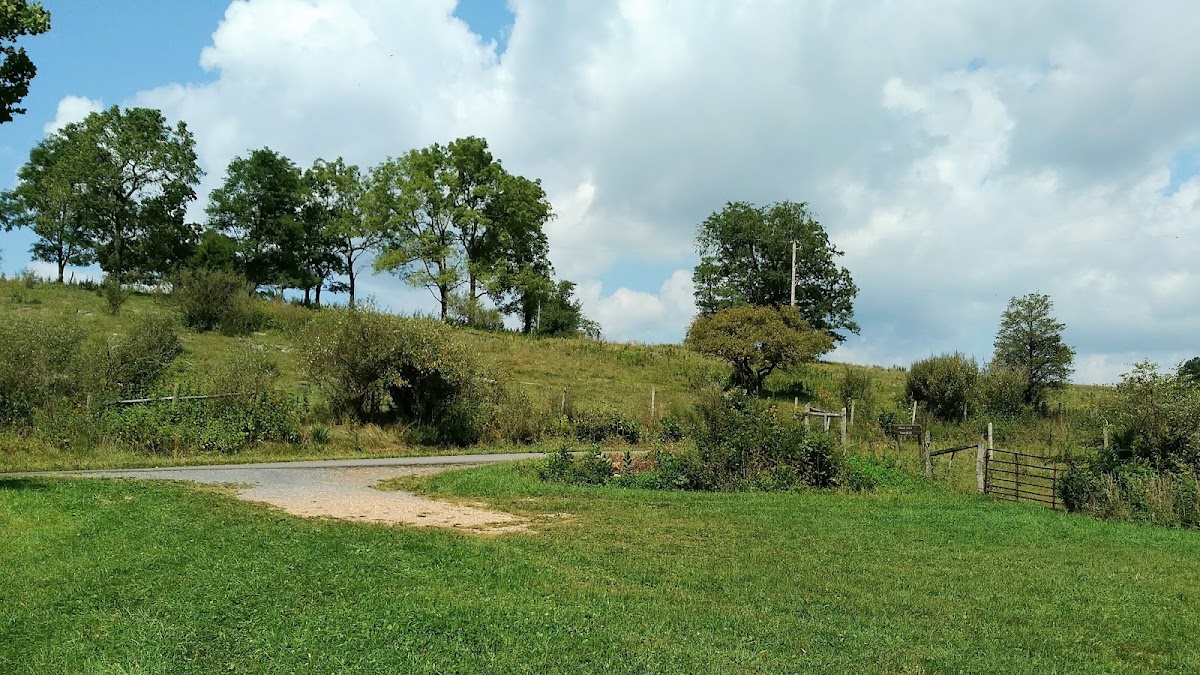 Groundhog Trail