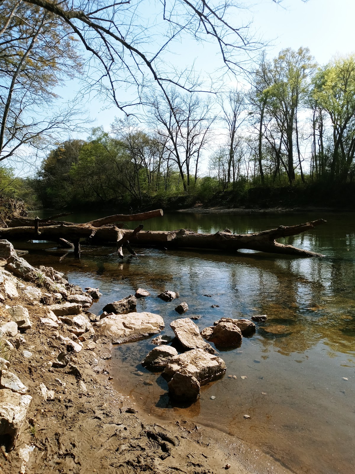 Alum Fork Saline River