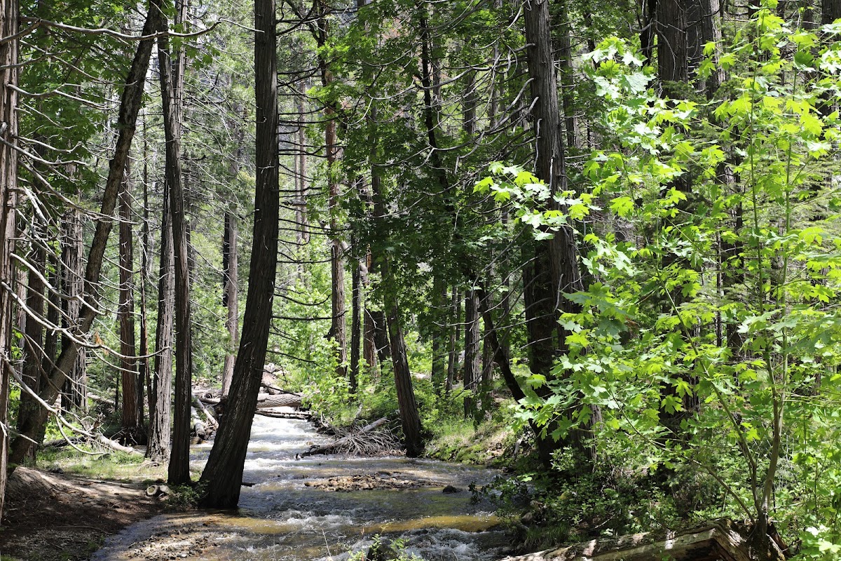 Cascade Creek
