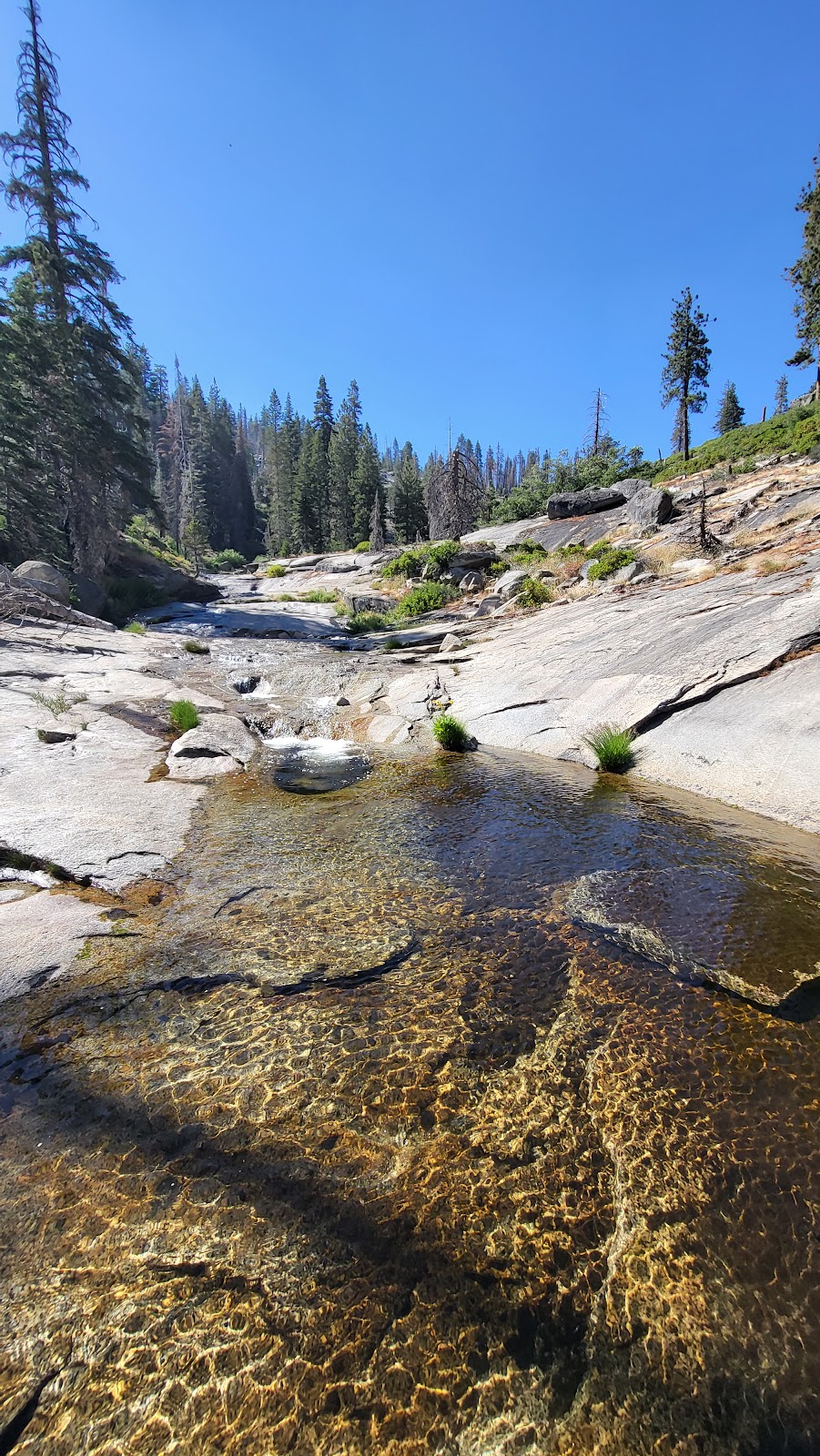 Clover Creek