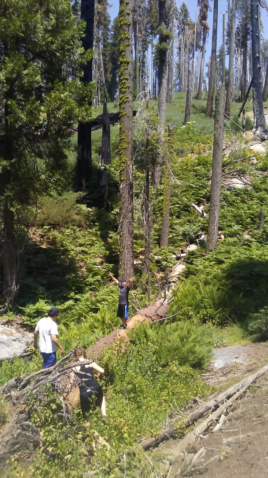 Little Deer Creek
