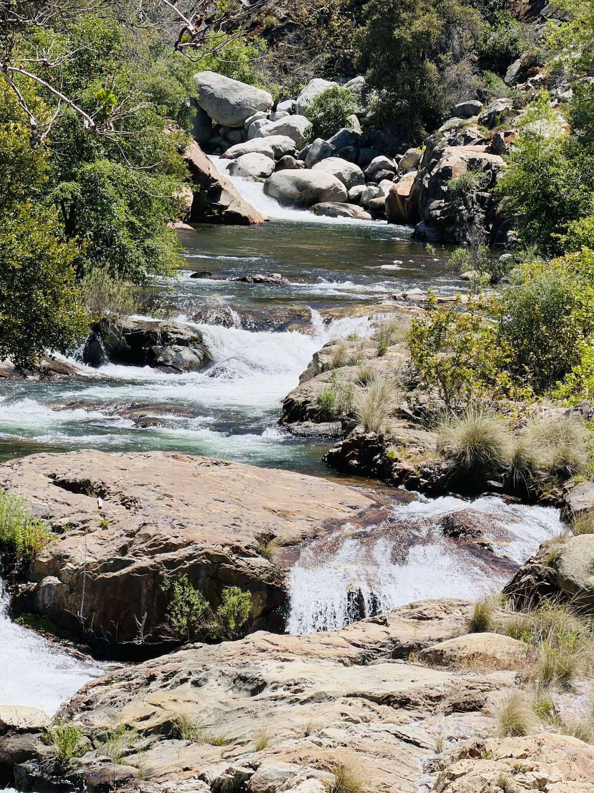 Middle Fork Kaweah River