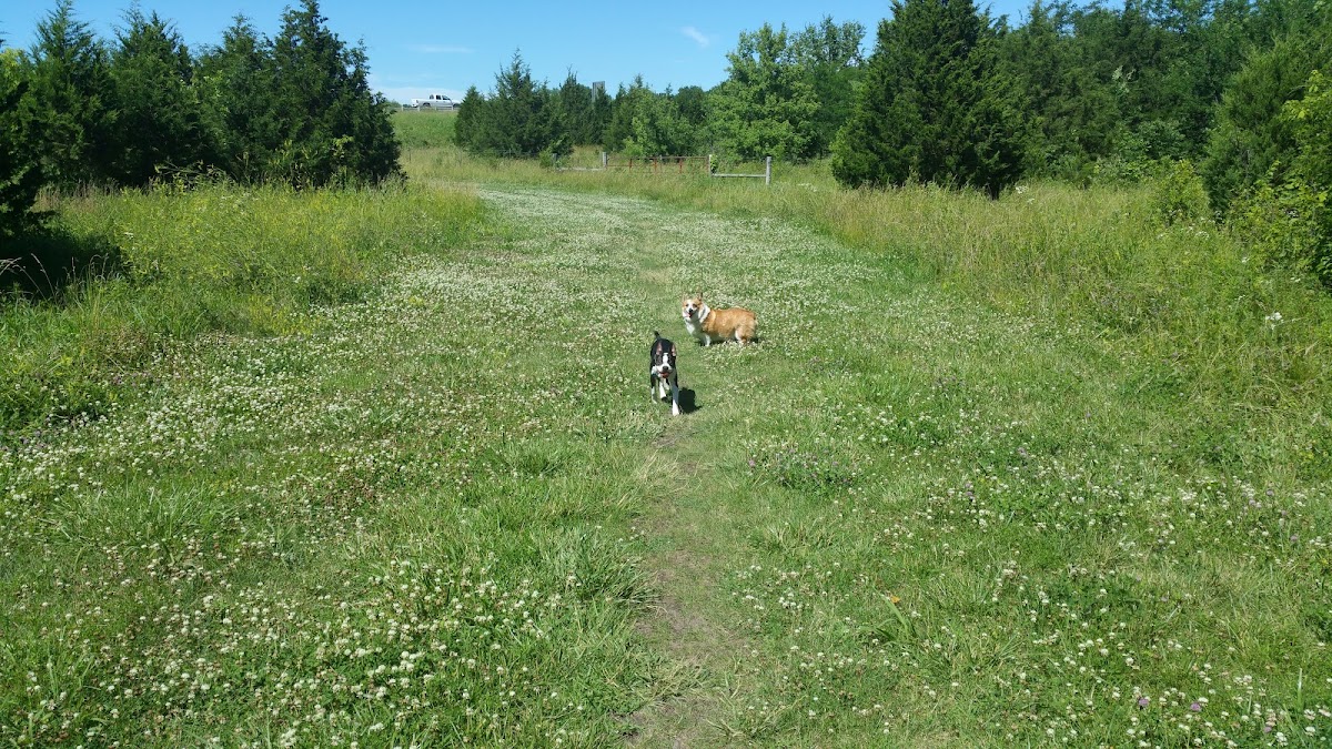 Kill Creek Streamway Park