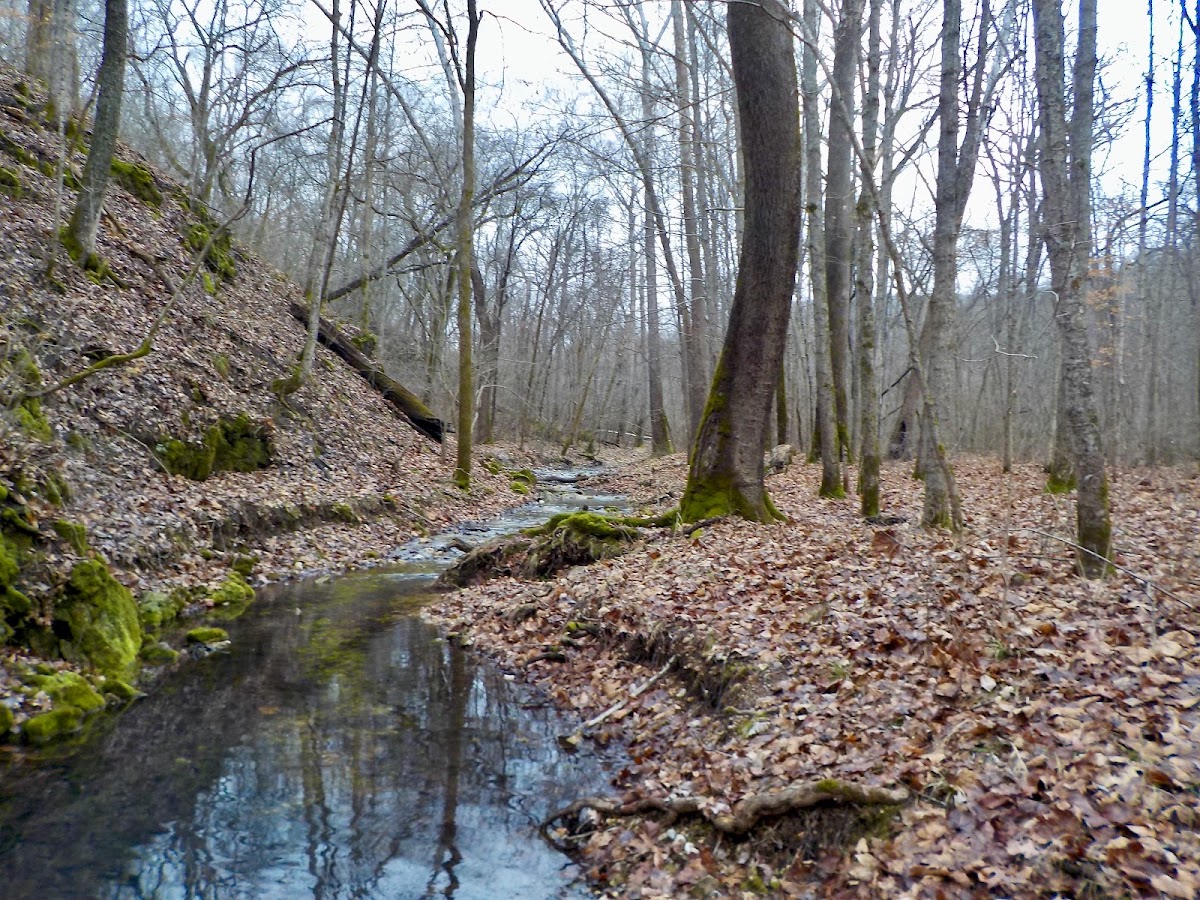 Wilderness Trail