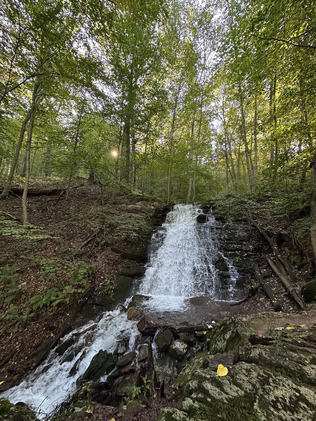 Douglas Trail