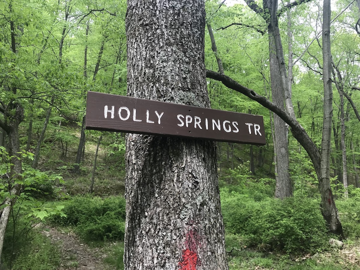 Holly Springs Trail