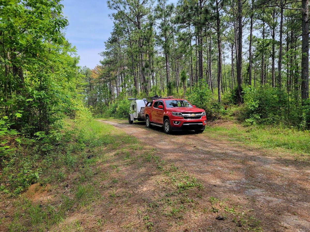 Skyway Loop Hiking Trail (USFS 62)