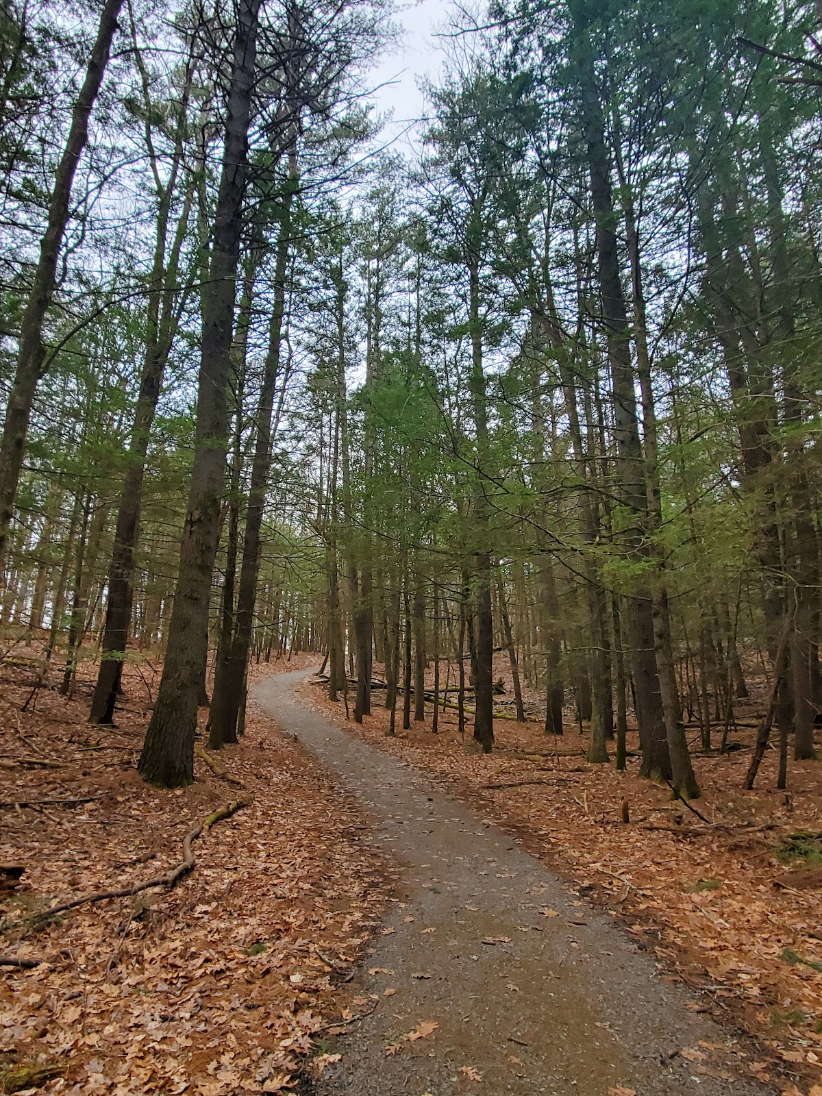 McDade Recreational Trail