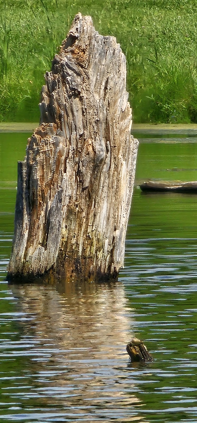 Lost Grove Lake