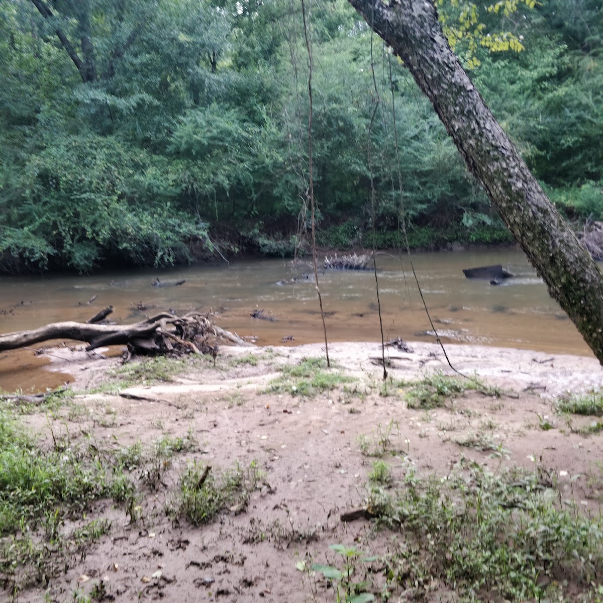 Big Creek Greenway