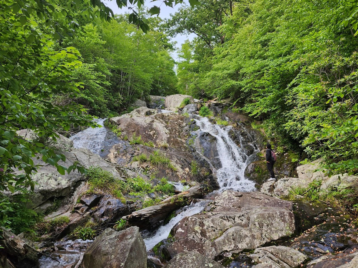 Fallingwater Cascades Trail