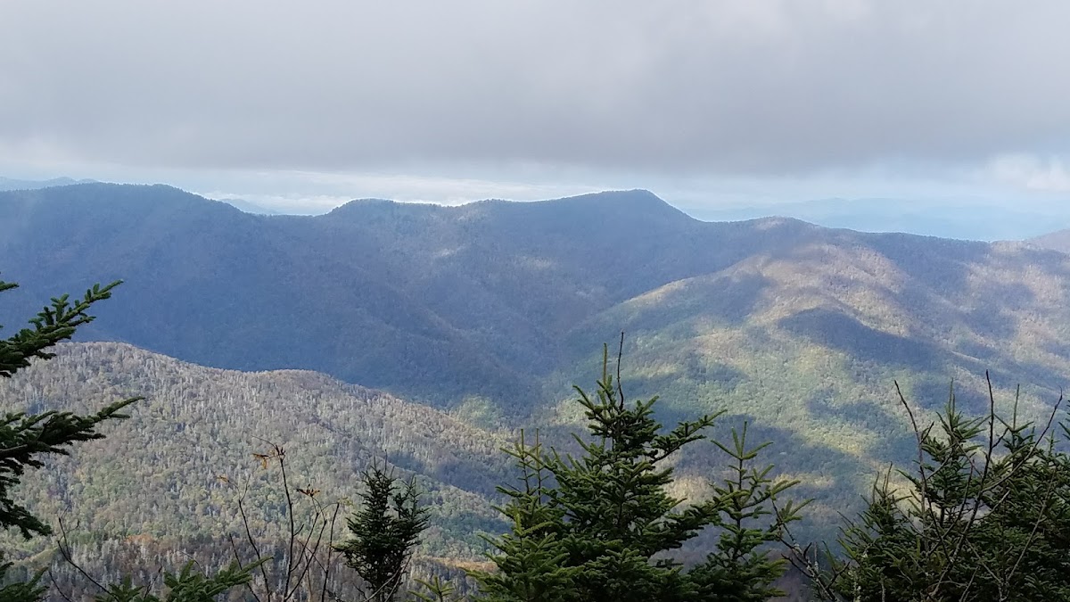 Black Mountain Crest Trail