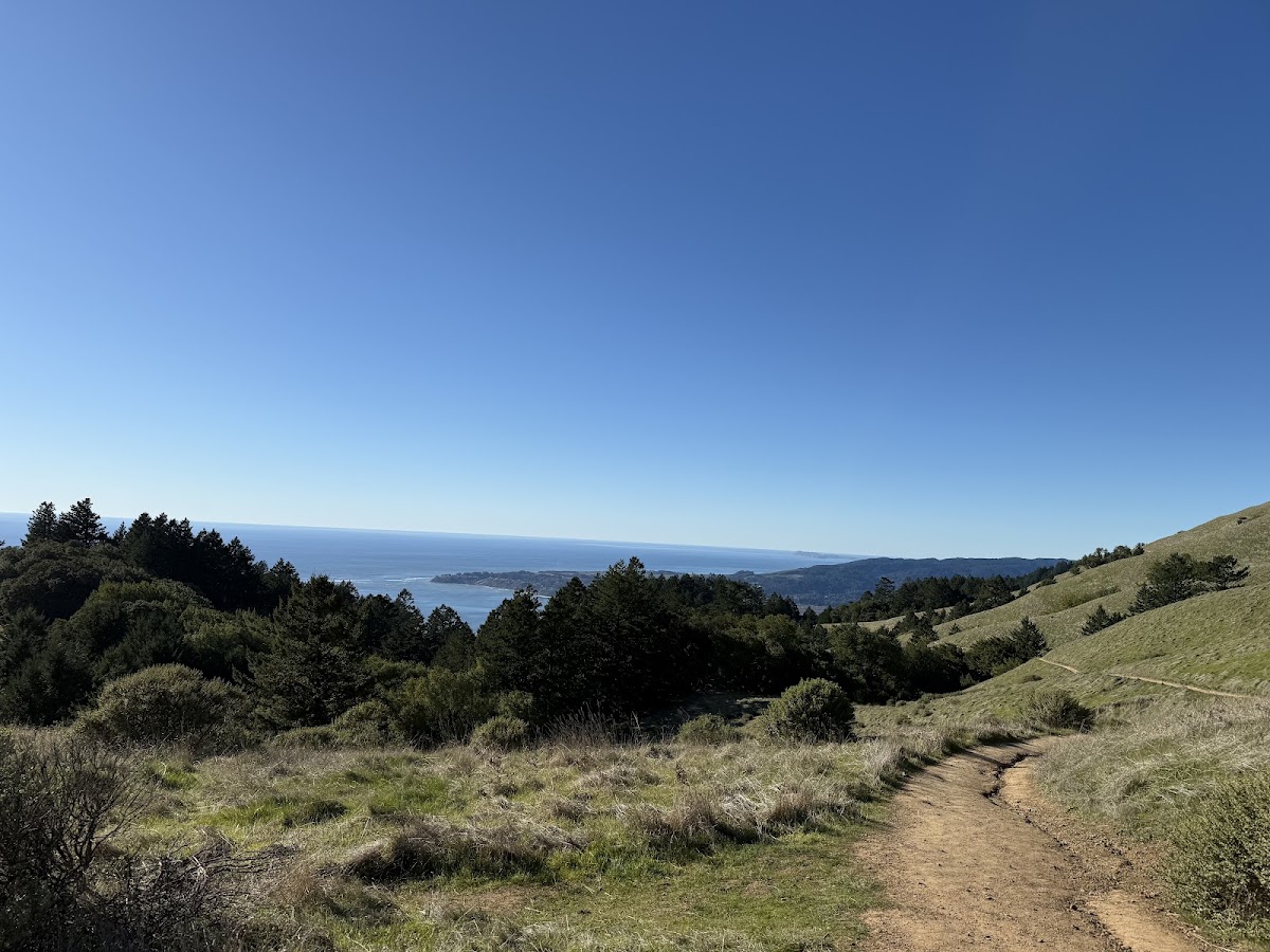 Matt Davis Trail