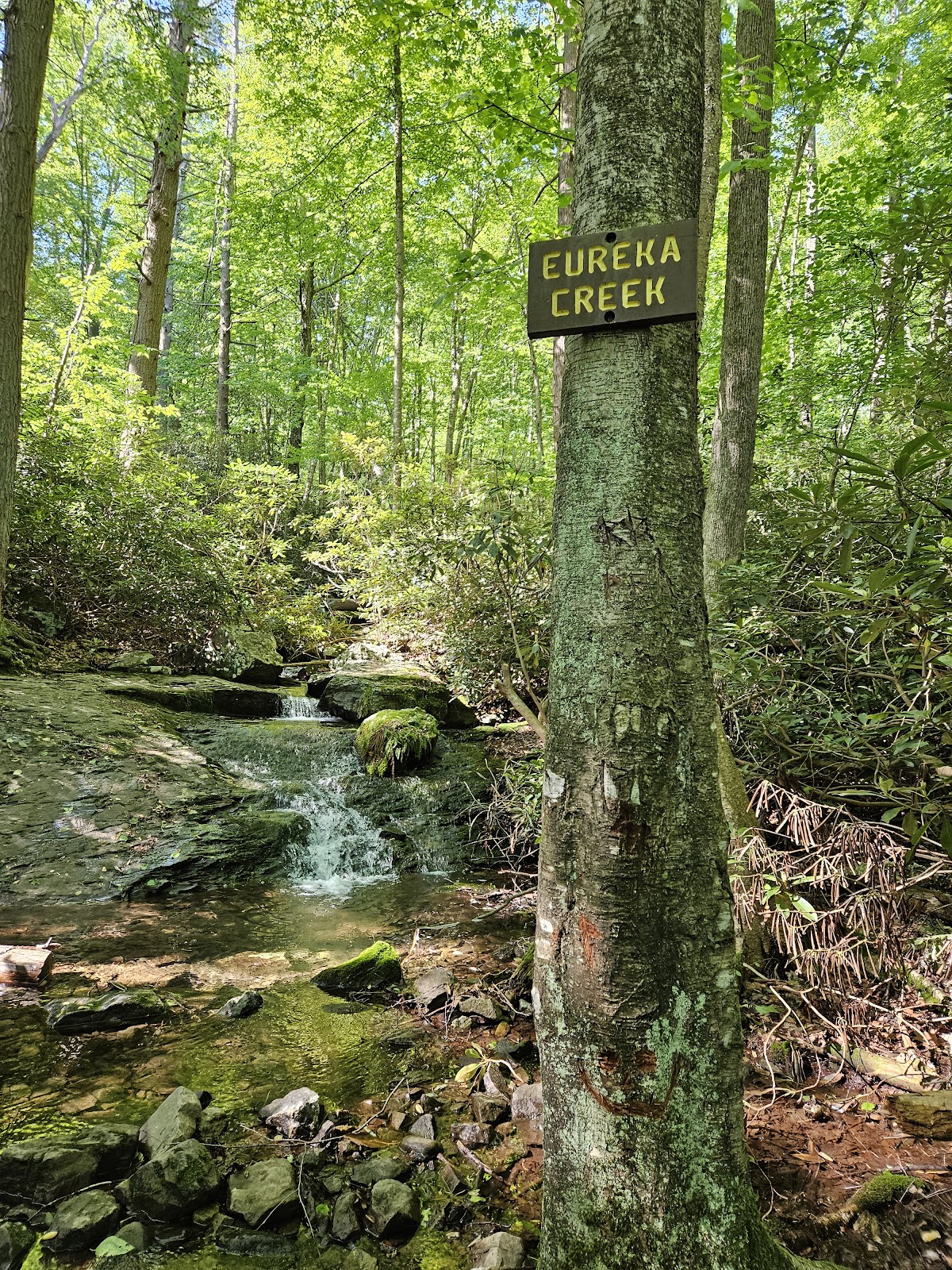 Eureka Creek